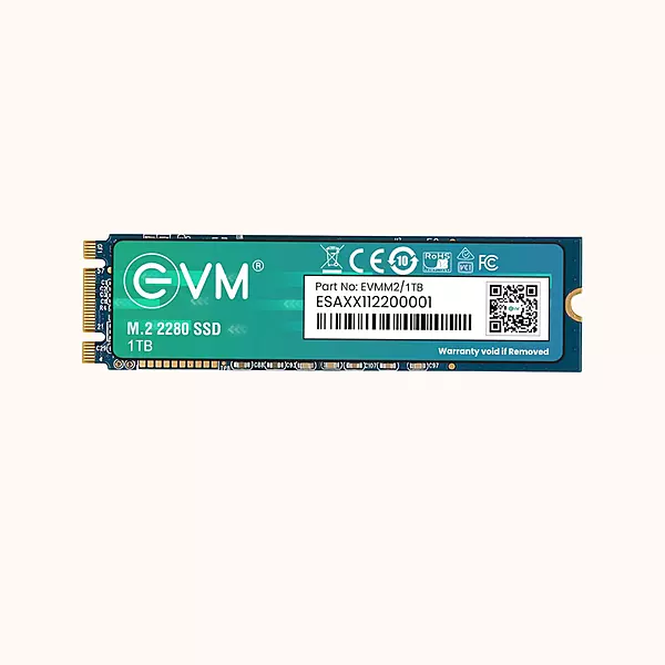 EVM 1TB M.2 SATA Internal SSD