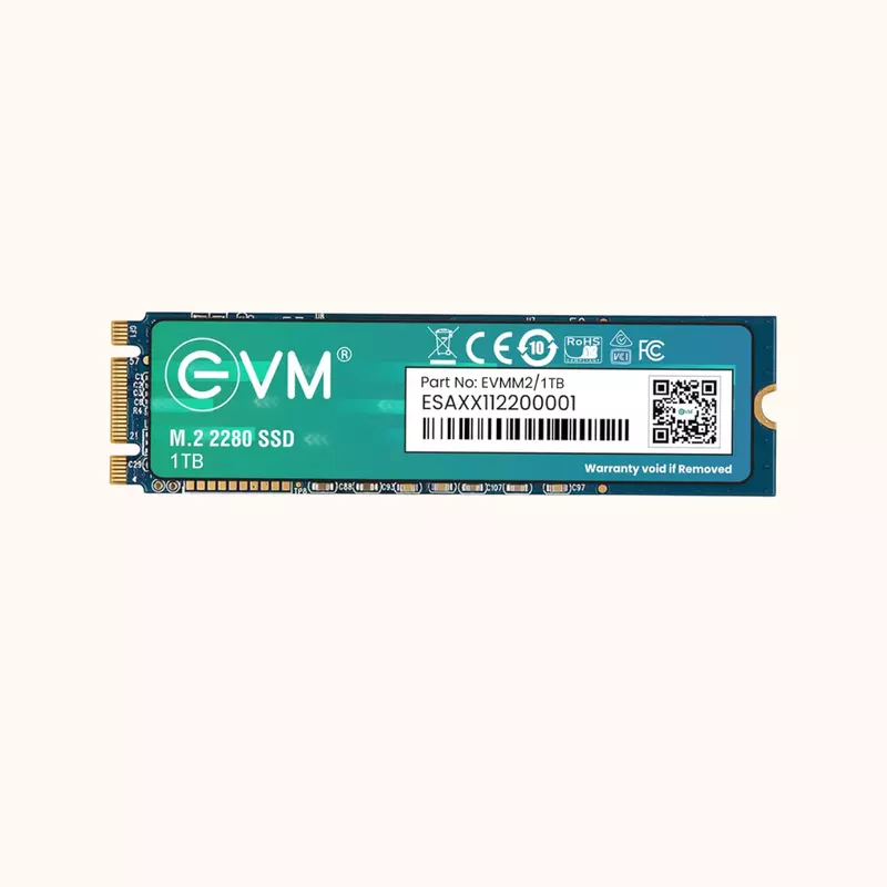 EVM 1TB M.2 SATA Internal SSD