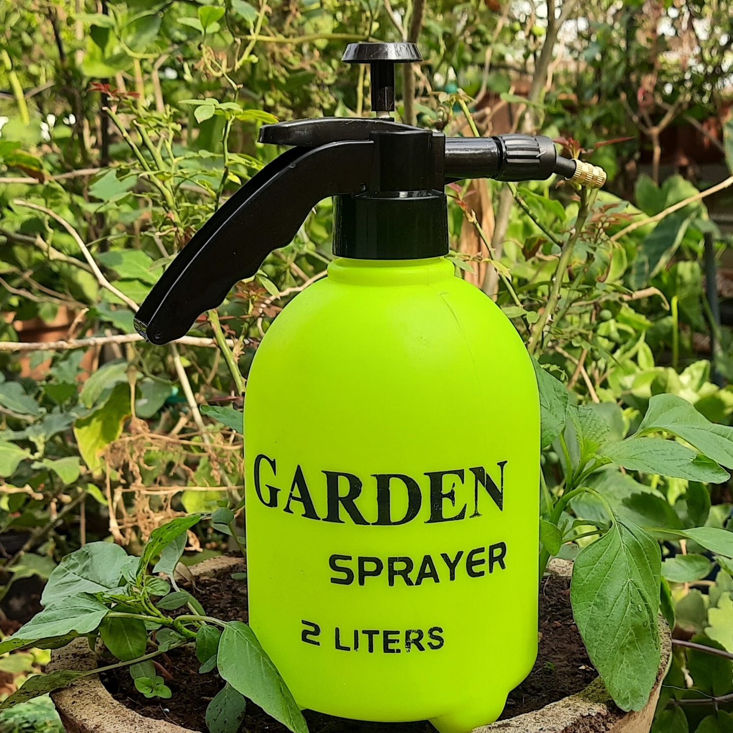 Hand Sprayer 2 Lit with swivel tip color Yellow or Orange on availability