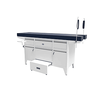 Gita Steel Furniture Examination Couch Plain (A-4035)