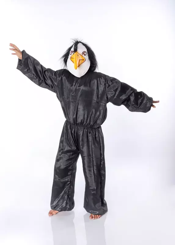 Eagle Birds Fancy Dress Costume For Kids