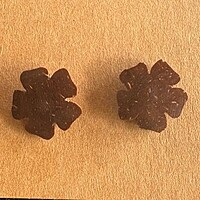 Ear Studs