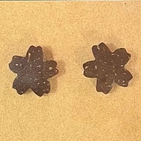 Ear Studs