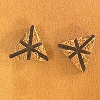 Ear Studs