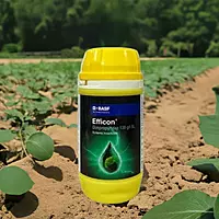 Efficon by BASF