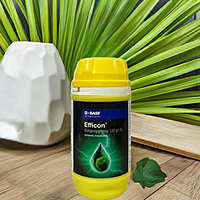 Efficon by BASF