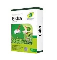 Ekka (Acetamiprid 20% Sp)-(Krishi Rasayan)