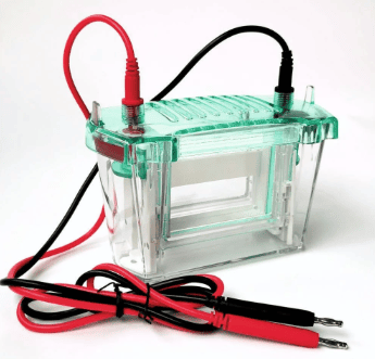 Electrophoresis Apparatus
