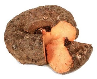 Elephant Yam