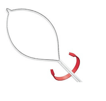 Endotherapy Accessory (snares)