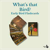 Early Bird Flashcards (English) Early Bird Flashcards (English)