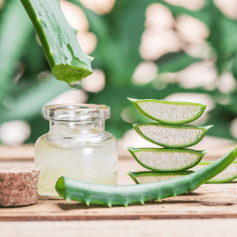 Equenatural Shampoo and Conditioner - Active Aloe Vera