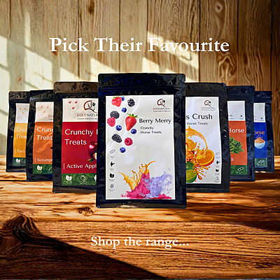 Equenatural Crunchy Horse Treats - Scrumptious Cinnamon