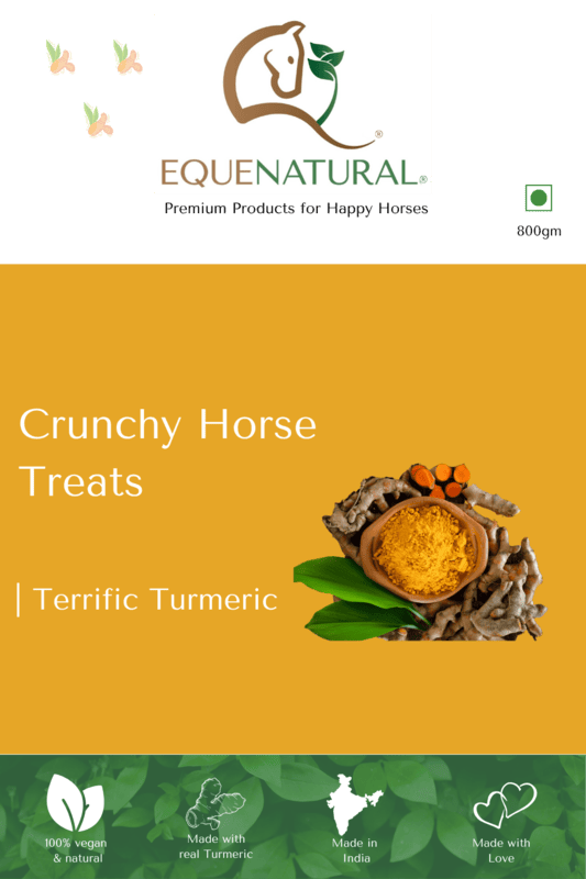 Equenatural Crunchy Horse Treats - Terrific Turmeric