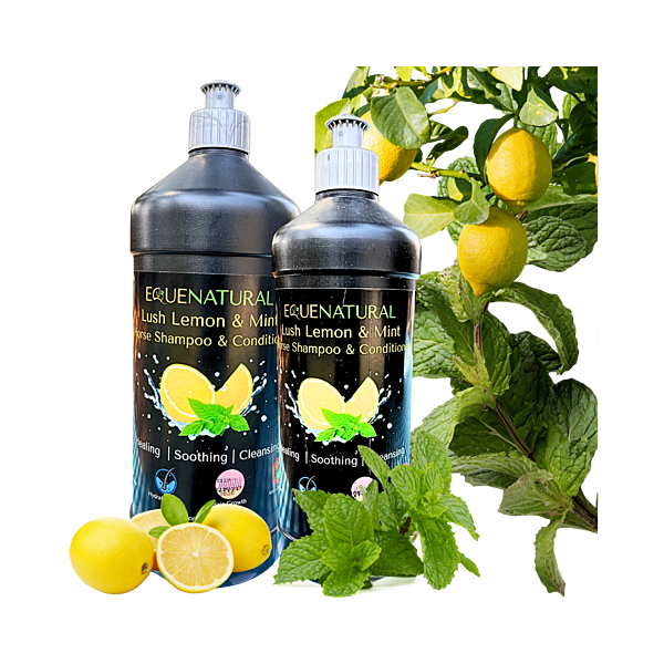 Equenatural Shampoo and Conditioner Lush Lemon and Mint