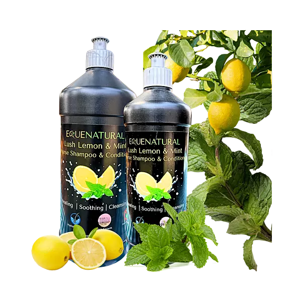 Equenatural Shampoo and Conditioner Lush Lemon and Mint