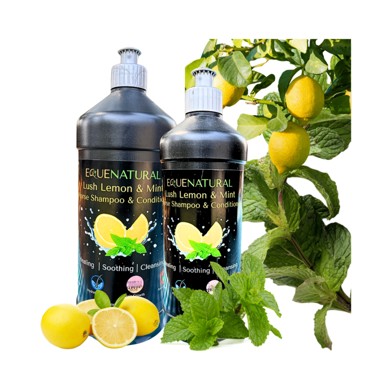 Equenatural Shampoo and Conditioner Lush Lemon and Mint