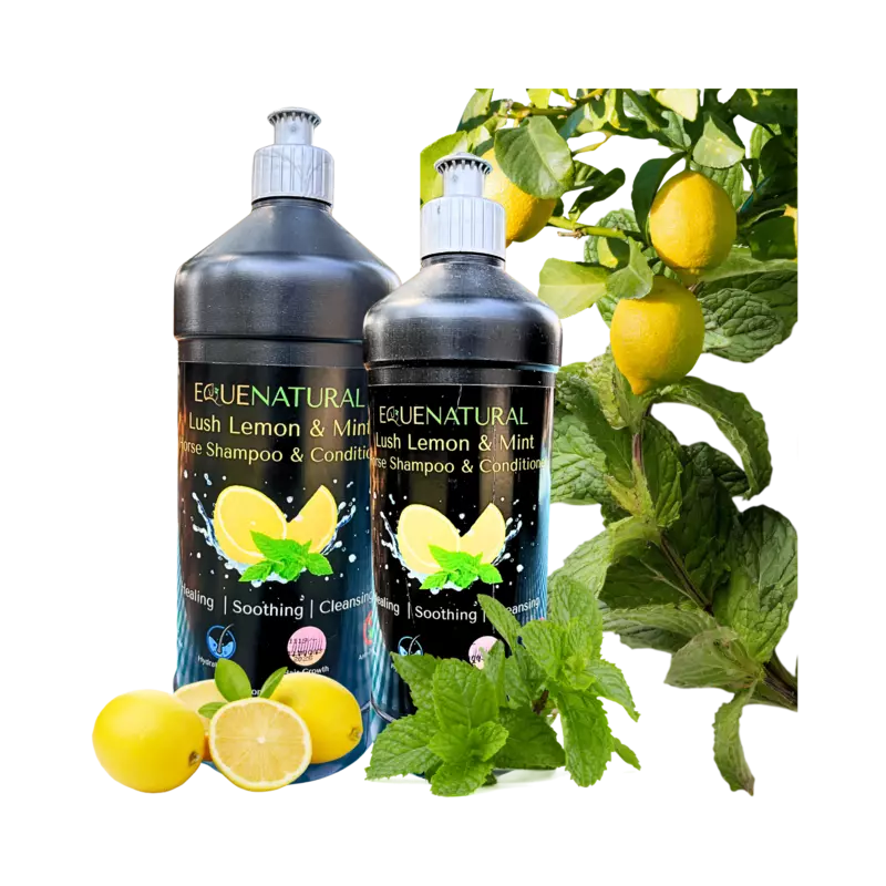 Equenatural Shampoo and Conditioner Lush Lemon and Mint