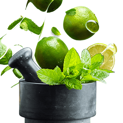 Equenatural Shampoo and Conditioner Lush Lemon and Mint