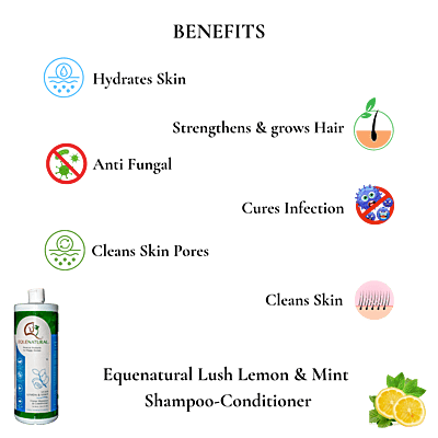 Equenatural Shampoo and Conditioner Lush Lemon and Mint