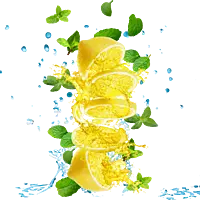 Equenatural Shampoo and Conditioner Lush Lemon and Mint