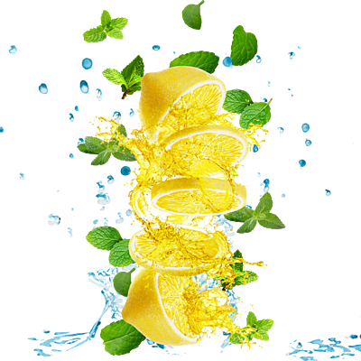 Equenatural Shampoo and Conditioner Lush Lemon and Mint