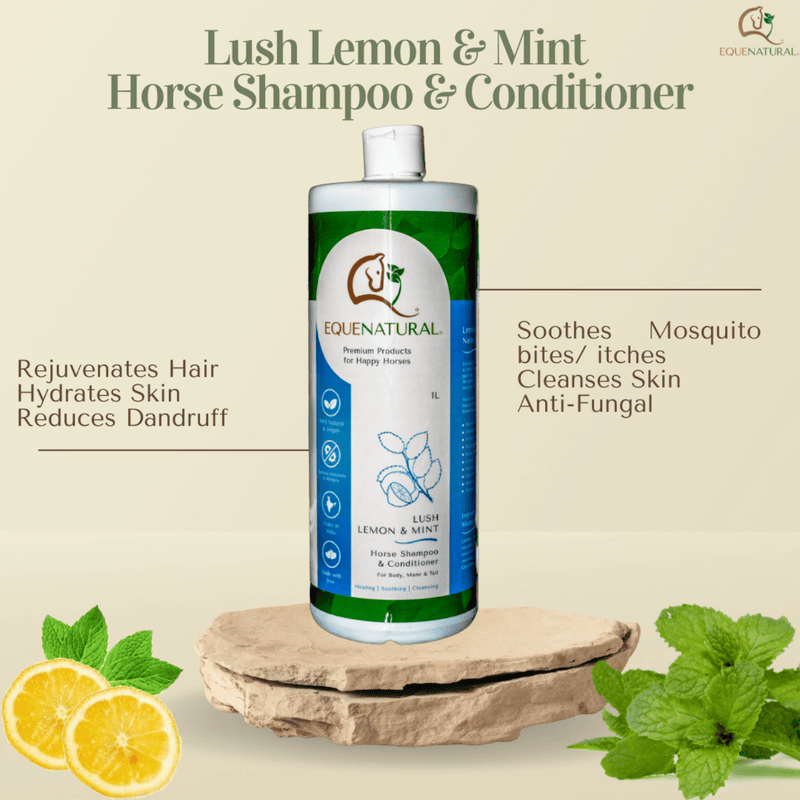 Equenatural Shampoo and Conditioner Lush Lemon and Mint