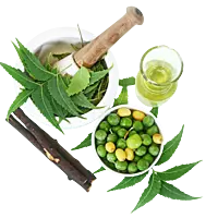 Equenatural Shampoo Nourishing Neem