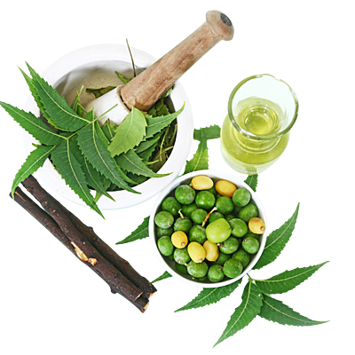 Equenatural Shampoo Nourishing Neem