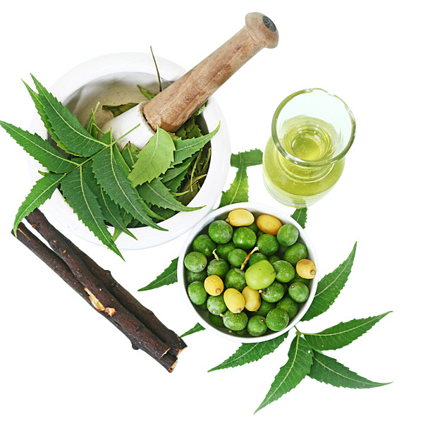 Equenatural Shampoo Nourishing Neem