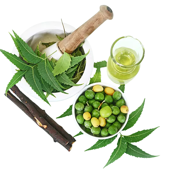 Equenatural Shampoo Nourishing Neem