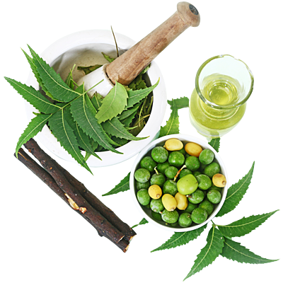 Equenatural Shampoo Nourishing Neem