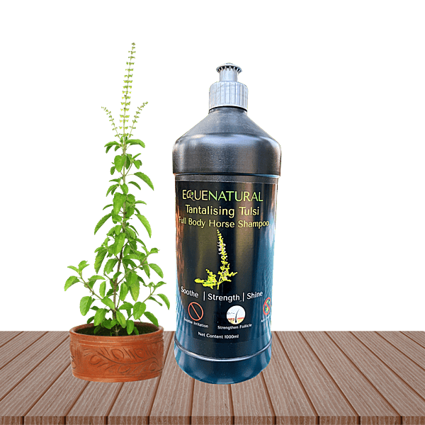 Equenatural Shampoo Tantalising Tulsi