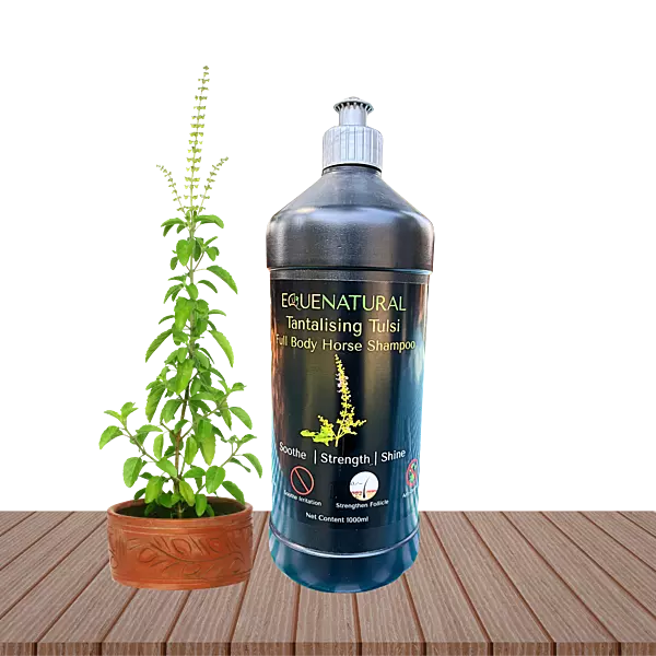 Equenatural Shampoo Tantalising Tulsi