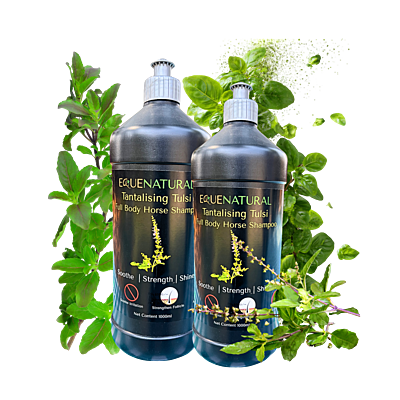 Equenatural Shampoo Tantalising Tulsi