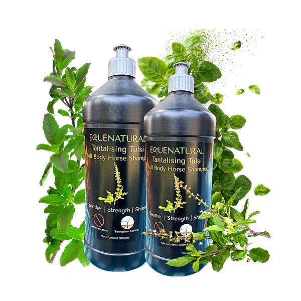 Equenatural Shampoo Tantalising Tulsi
