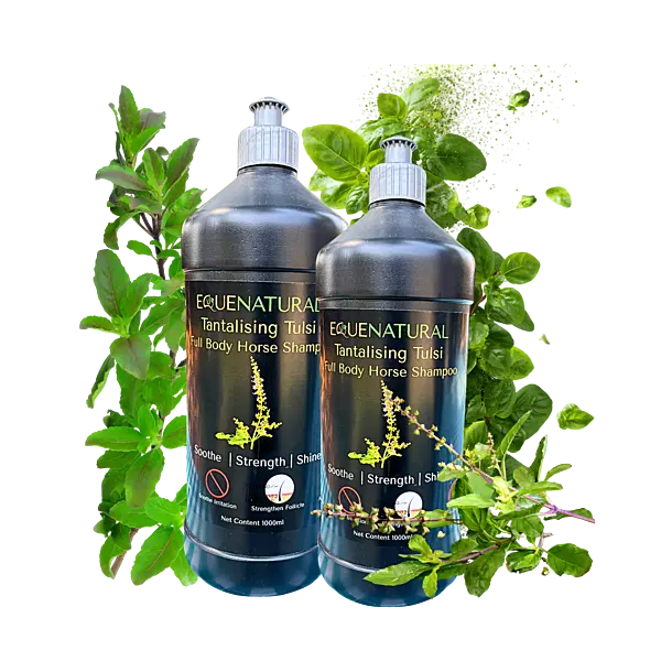 Equenatural Shampoo Tantalising Tulsi