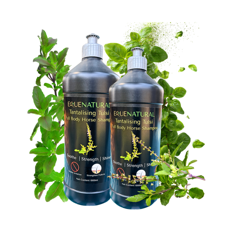 Equenatural Shampoo Tantalising Tulsi