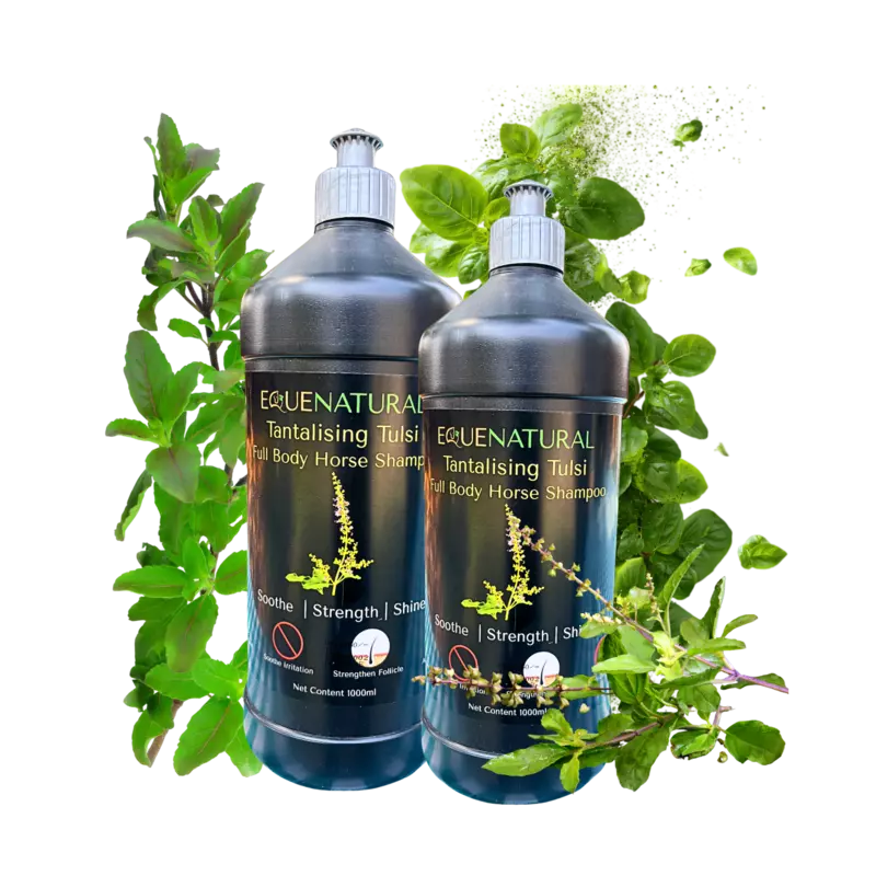 Equenatural Shampoo Tantalising Tulsi