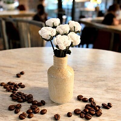 Rose Small Flower White