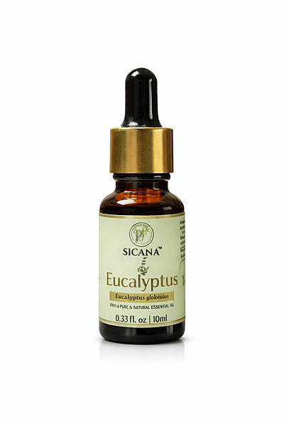 Eucalyptus Oil - 10 ml