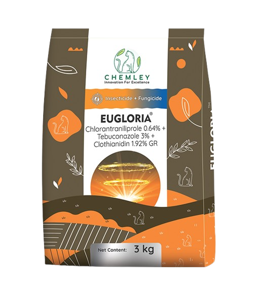 EUGLORIA by CHEMLEY