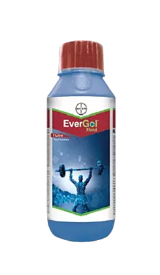 EverGol Xtend by Bayer crop science