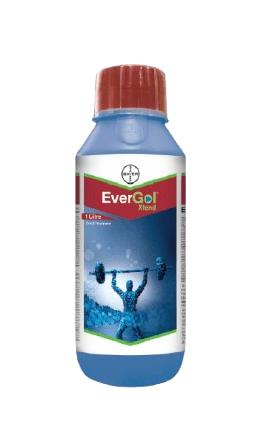 EverGol Xtend by Bayer crop science