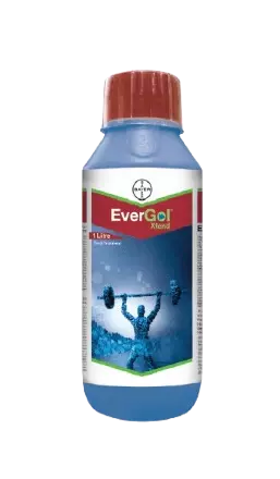 EverGol Xtend by Bayer crop science