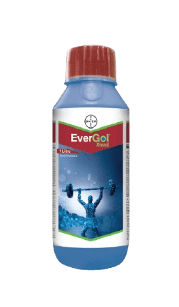 EverGol Xtend by Bayer crop science