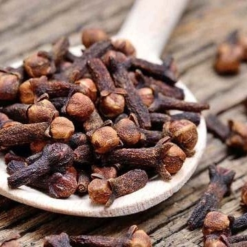 Lavanga-Clove