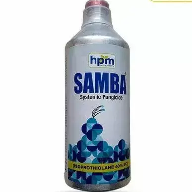 Samba -(HPM)