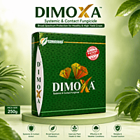 Willowood DIMOXA® Fungicide (Difenoconazole 10% + Mancozeb 50% WG) | Vetrivel Agro Services