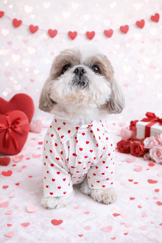 White Valentine Shirt